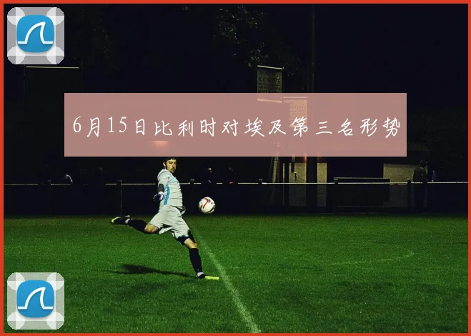 6月15日比利时对埃及第三名形势