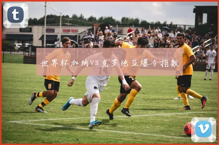 世界杯加纳vs克罗地亚爆冷指数