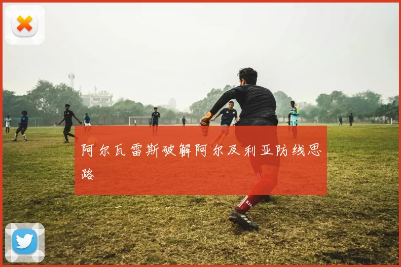 阿尔瓦雷斯破解阿尔及利亚防线思路