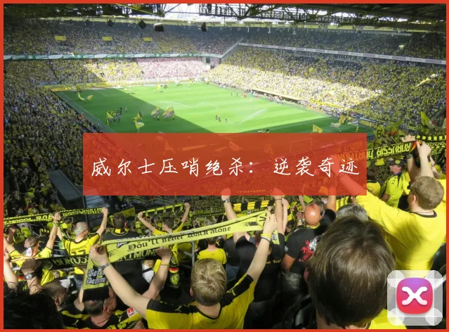威尔士压哨绝杀：逆袭奇迹