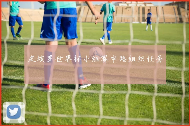 皮埃罗世界杯小组赛中路组织任务