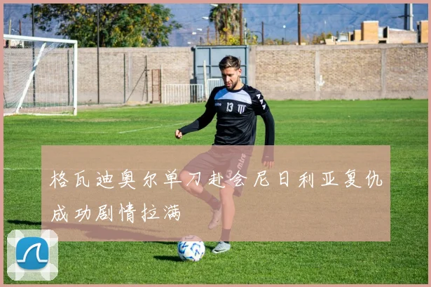 格瓦迪奥尔单刀赴会尼日利亚复仇成功剧情拉满