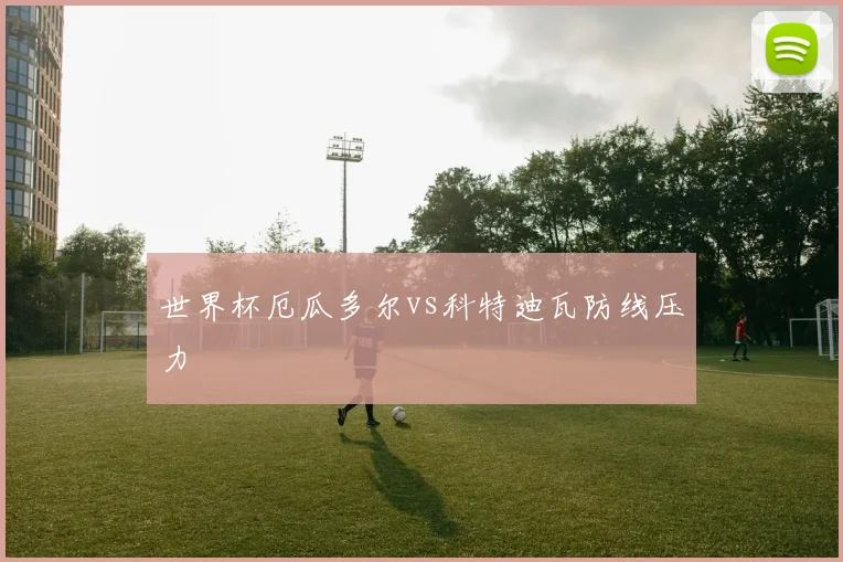 世界杯厄瓜多尔vs科特迪瓦防线压力