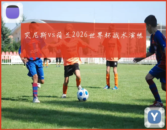 突尼斯vs荷兰2026世界杯战术演练