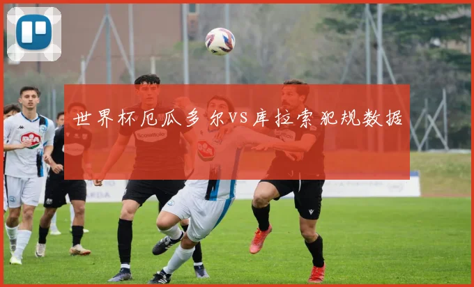 世界杯厄瓜多尔vs库拉索犯规数据