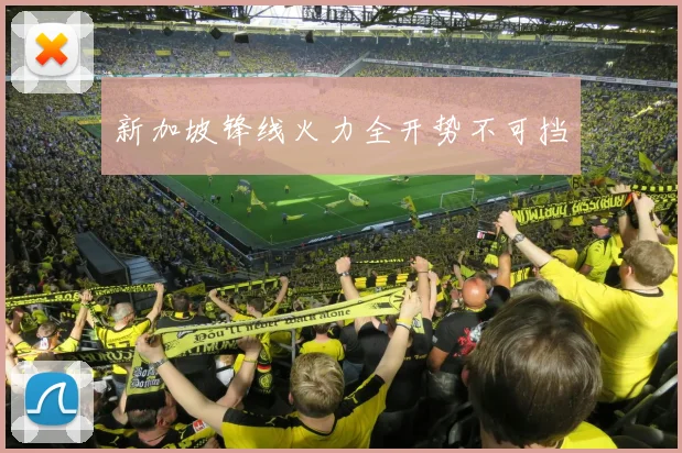 新加坡锋线火力全开势不可挡