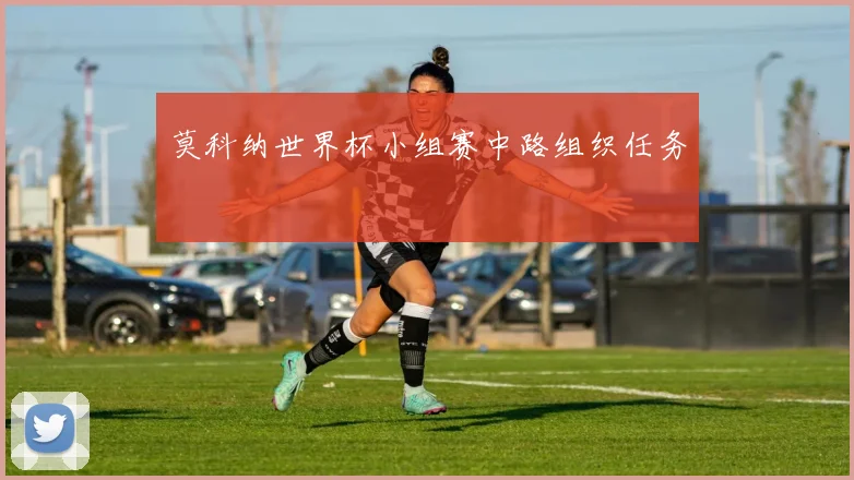 莫科纳世界杯小组赛中路组织任务