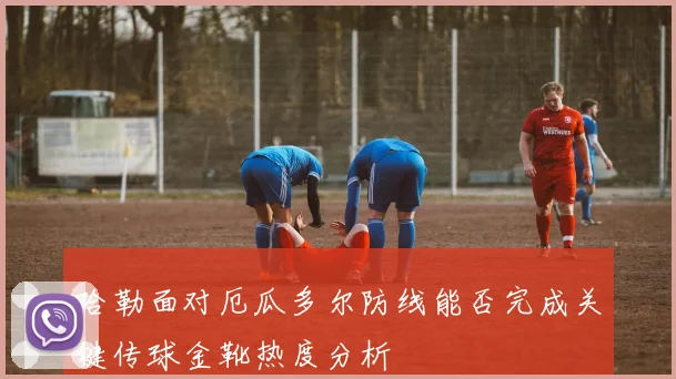 哈勒面对厄瓜多尔防线能否完成关键传球金靴热度分析